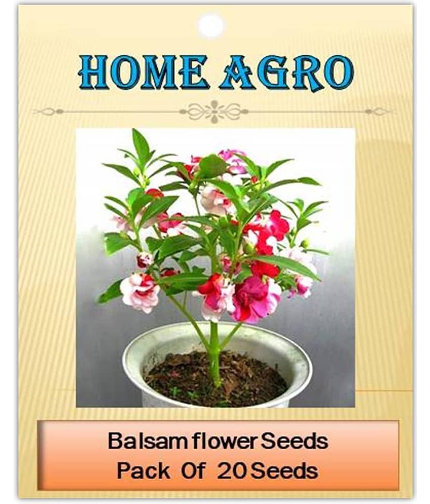 homeagro - Balsam Mixed Flower ( 20 Seeds )