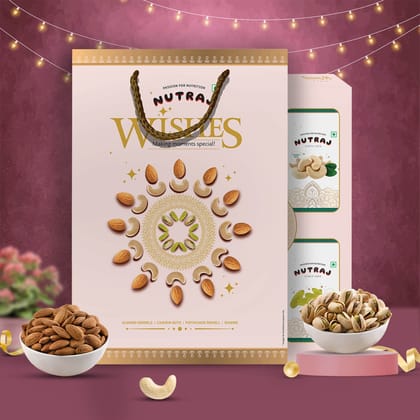 Nutraj Wishes Nutty Celebration Diwali Gift Box 300g | GB - 62