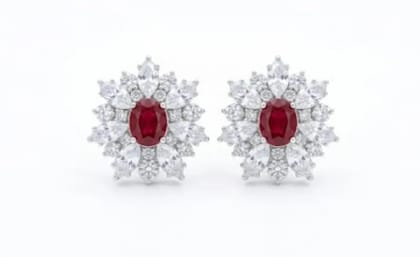 AD premium small Earrings
