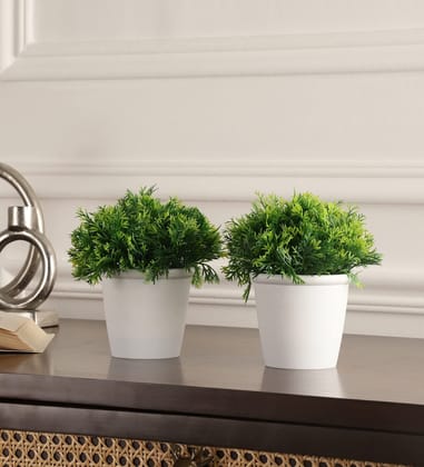 Foliyaj Set of 2 Artificial Real Looking Plants with Thick Green Leaves and pots