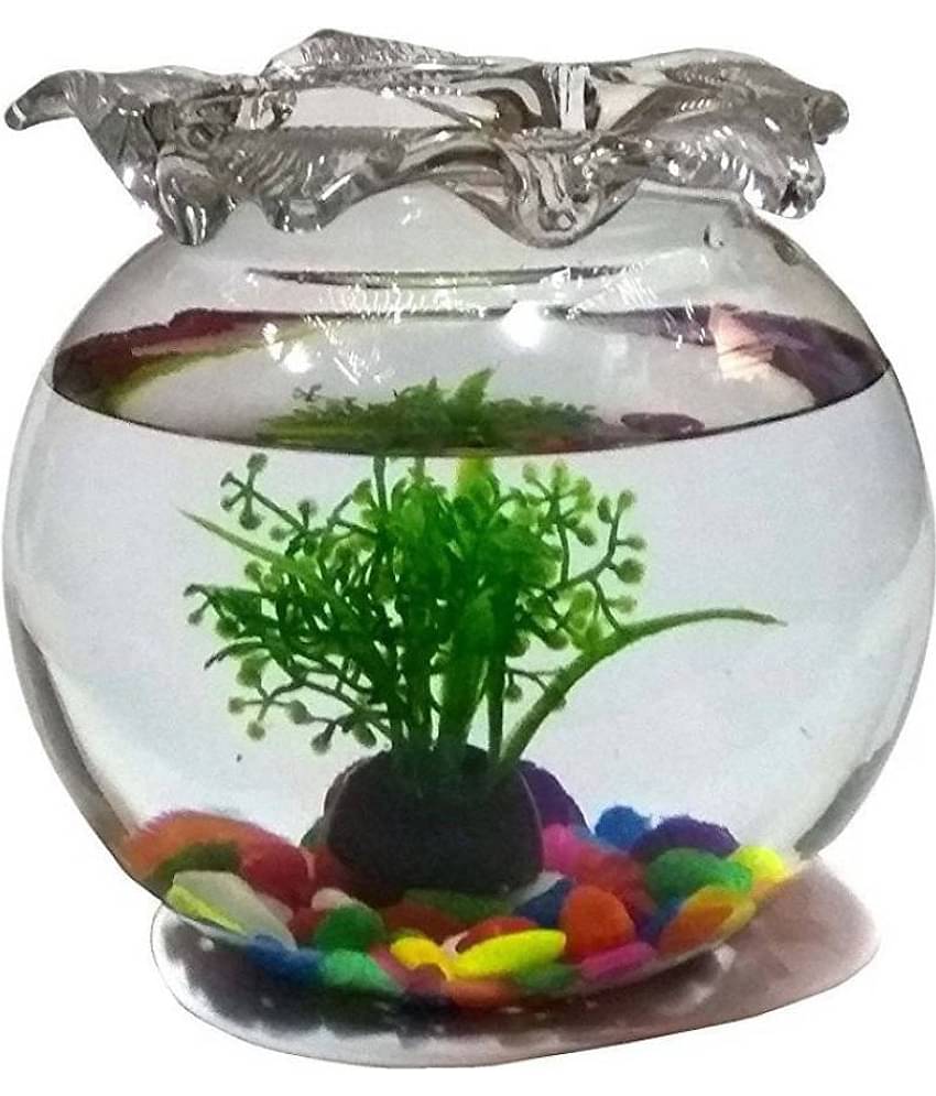 AFAST Clear & Transparent Round Glass Fish Pot For Joom View With Designer Neck & Decorative Accessories Of 6 Inch Table Top-fb07