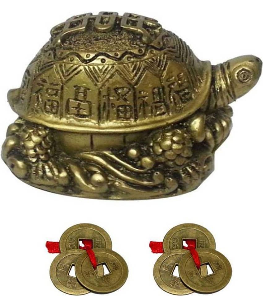 DD1 Turtle Tortoise For Long Life and 2 Lucky Coin Set for Wealth