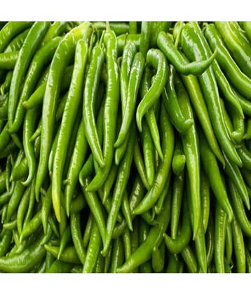 homeagro - Chilli Vegetable ( 50 Seeds )