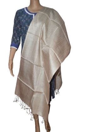 Pure organic Tussar Silk Natural Stole