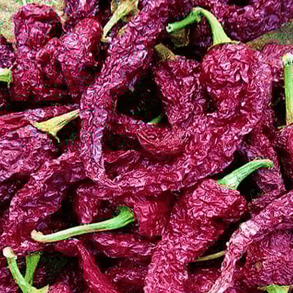 Byadagi chilli