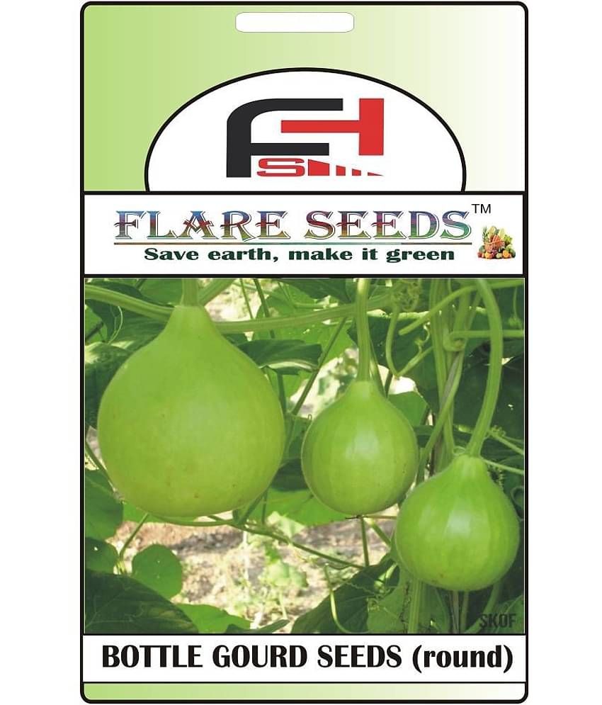 Round Bottle Gourd Seeds - 20 Seeds Pack