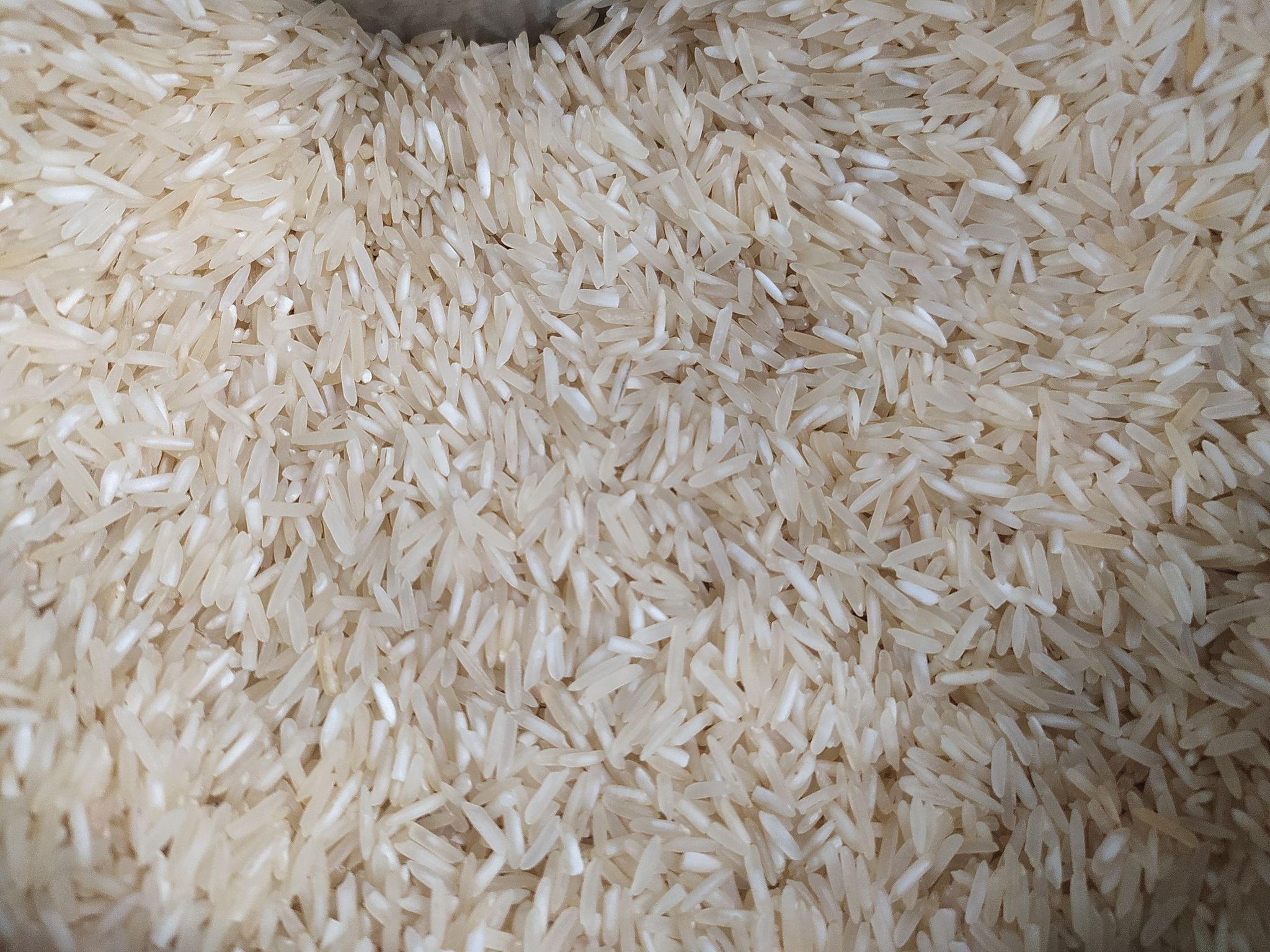 basmati rice small