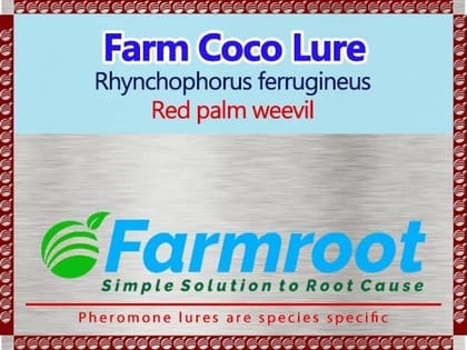 FARM RED PALM WEEVIL LURE  (PACK OF 10)