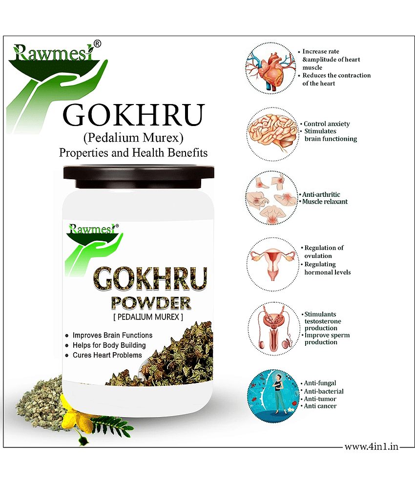 Rawmest Bindii/ Gokhru/ Tribulus Terrestris Powder 100 Gm Pack of 1