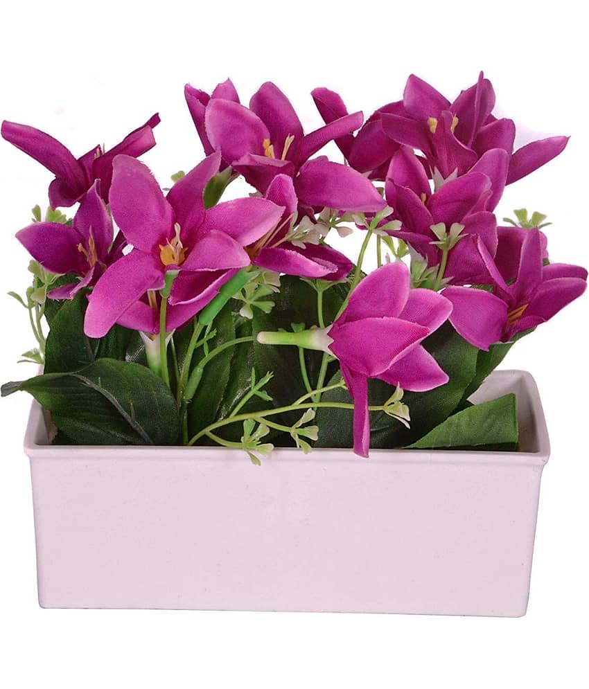 YUTIRITI Lily Purple Flowers With Pot - Pack of 1