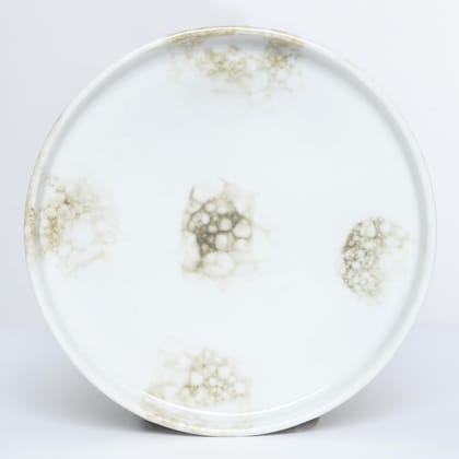 Tablejoy Edged Snack Plate Set Of 6, Olive Poreclain Round Plate For Dining Table, Home, Restaurant & Gifting, Microwave And Diswasher Safe, Aesthetic Design, Light Weight And Durable, Spill Proof