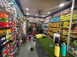 FASHION SHOES