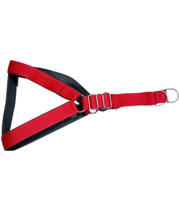 Tame Love Adjustable Chest Belt Harness for Giant Strong Dog (Blue color - 1.50 Inch)