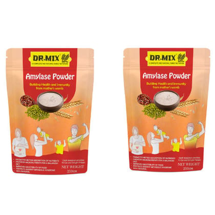DR. MIX Nutritious Amylase Powder, Contains Enzymes And Probiotics, Improves Digestion, Increases Absorption Of Nutrients | Decreases Thickness Of Food, 250 gm Each - Pack of 2
