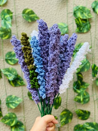 Lavender flower-Lavender