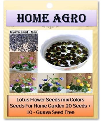 homeagro - Flower Seeds ( 20 )