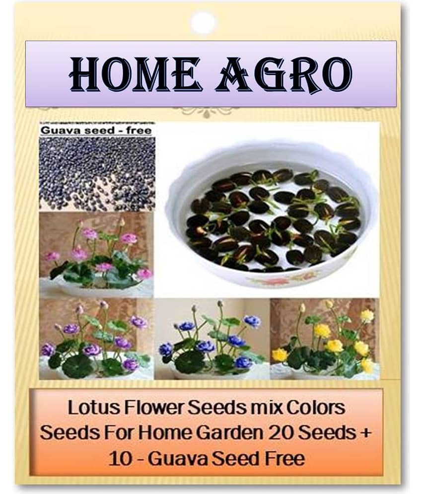 homeagro - Flower Seeds ( 20 )