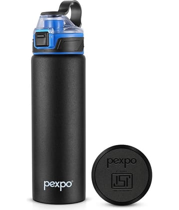 Pexpo Arctic Brown Stainless Steel Fridge Water Bottle 800 mL ( Set of 1 )