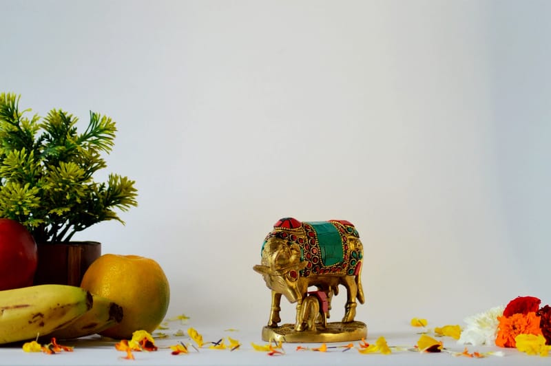 ... ...