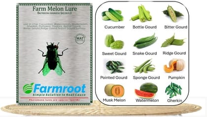 FARM MELON LURE WITH TRAP (PACK OF 20)