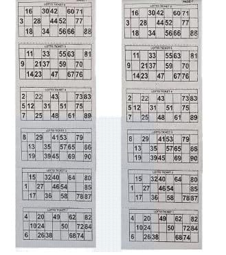 Braintastic 600 Tambola Tickets