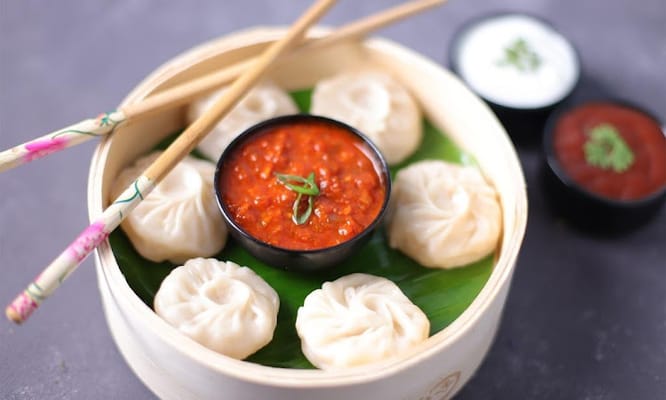 Momo Zone -The Momo Company