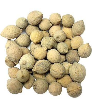 Nutrixia Food Putrajeevak Beej Putrajivak Seeds  Putrijivak Beej 480 gm