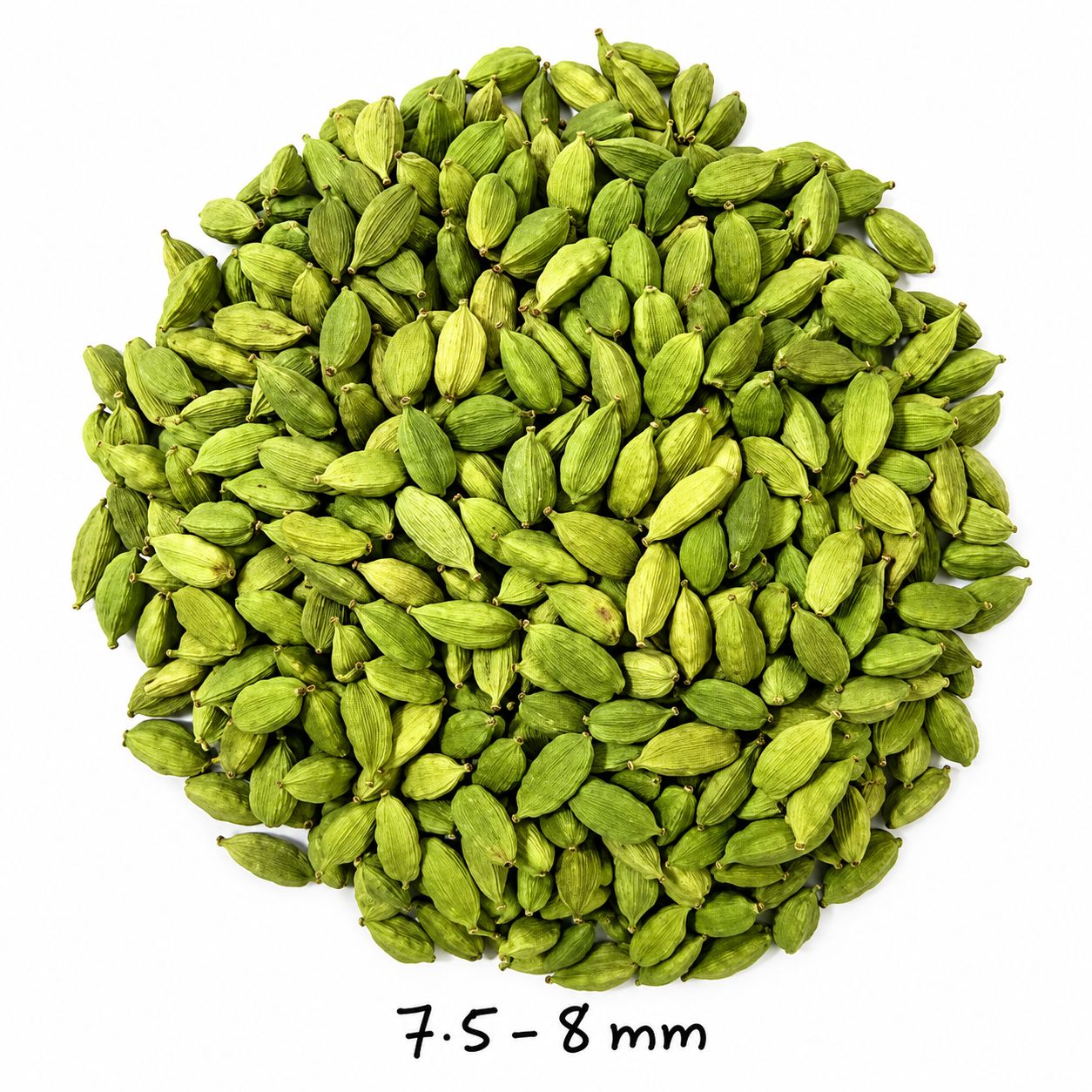 Green Cardamom 7.5mm to 8mm