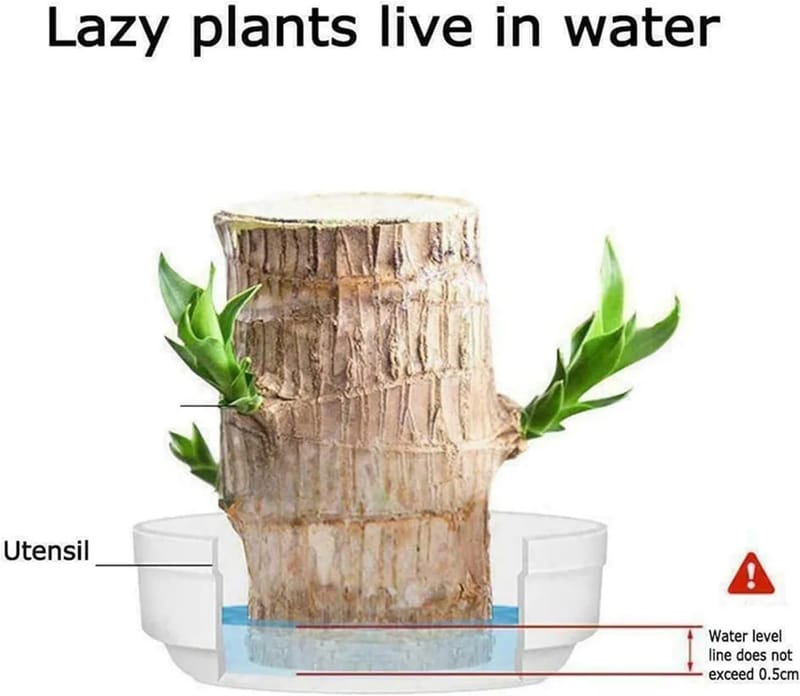 ... ...