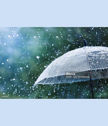 Infispace White 3 Fold Umbrella