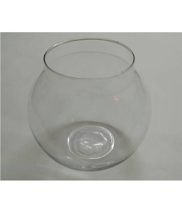 Somil Clear & Transparent Round Glass Fish Pot For Joom View Of 6 Inch Table Top-Fb02