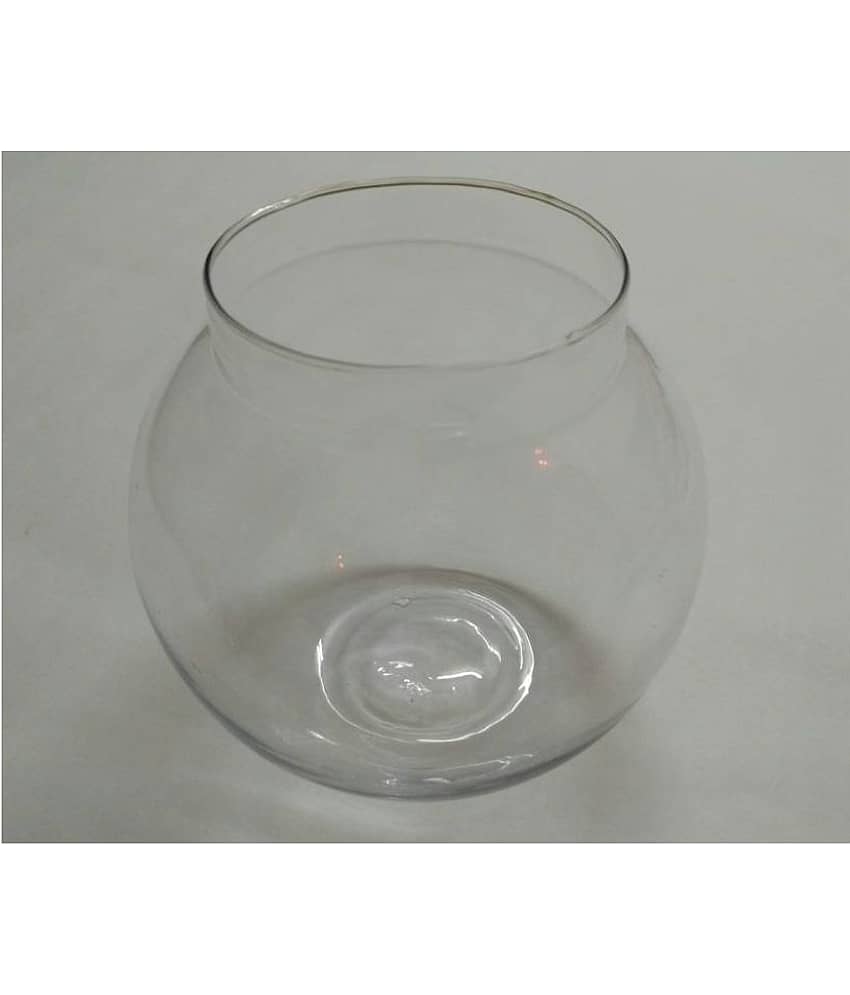 Somil Clear & Transparent Round Glass Fish Pot For Joom View Of 6 Inch Table Top-Fb02