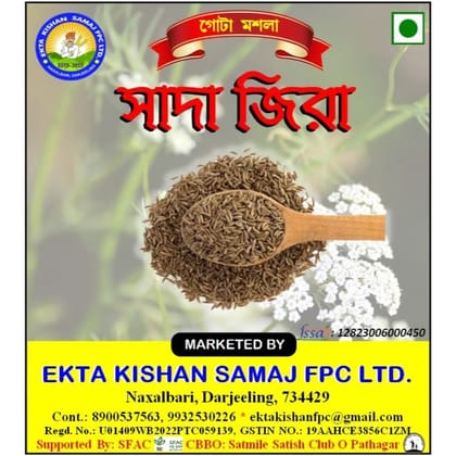 SADA JIRA/ CUMIN - 100 gm