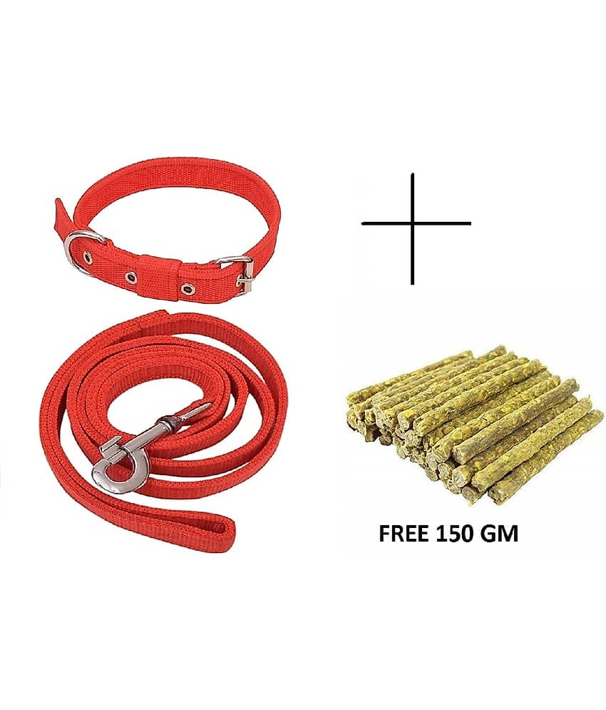 Smart Doggie - Black Dog Combo (Medium)