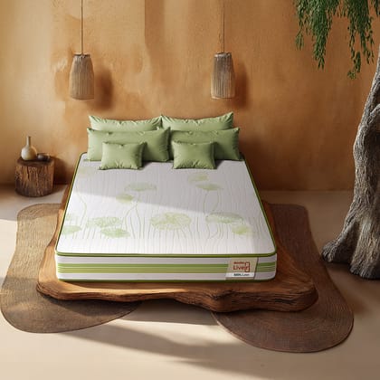 LiveIn 100% Latex Mattress-Double / 72 X 48 (1.83 m x 1.22 m) / 6 (15.2 cm)