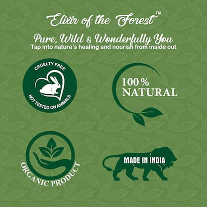 Elixir of the Forest Cinnamon Oil | 30 ml (10 ml x 3) | Diffuser Set | Warm Comfort Daily Use