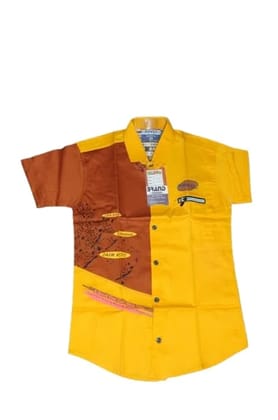 Trendy Boys ButtonUp Shirt