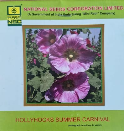 NSC Hollyhocks Summer Carnival Flower Seed NSC Hollyhocks Summer Carnival Flower Seed