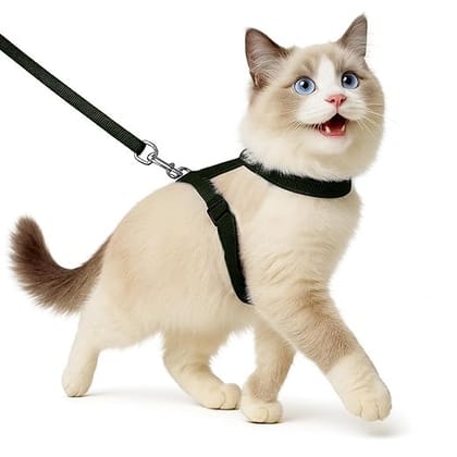 Full Body Cat Harness with Leash – Adjustable, Escape-Proof Outdoor Belt for Walking-Black
