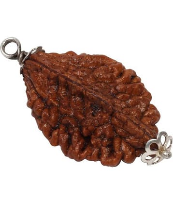 Astrodidi 2 Mukhi Rudraksha With Lab Certificate
