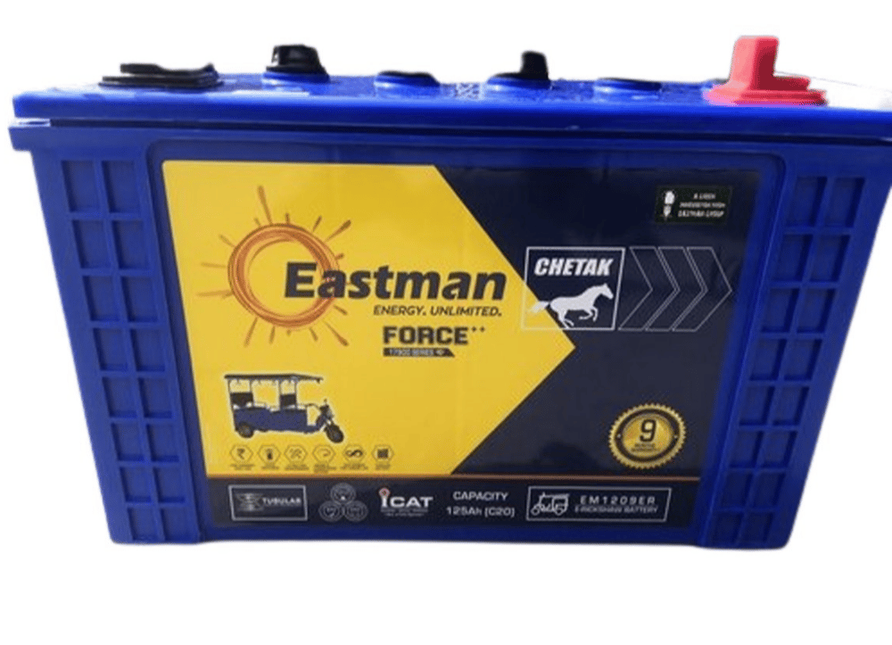 Eastman E-Rikshaw Battery EM1209ER