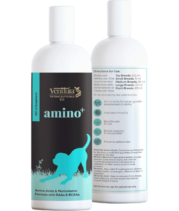 Venttura Amino+ Supplements for Pet Dogs | AntiOxidants & Vitamins |  (150 ml)