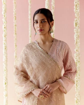 Daisy Pink Gold Dupatta-Free Size / Gold