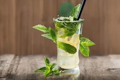Classic Mojito