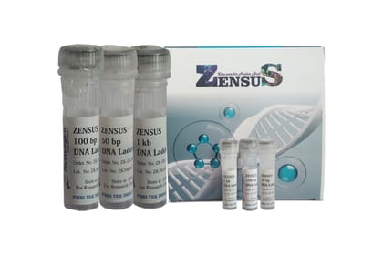 100 bp DNA Ladder (100 to 1500 bp) Pack Of 2