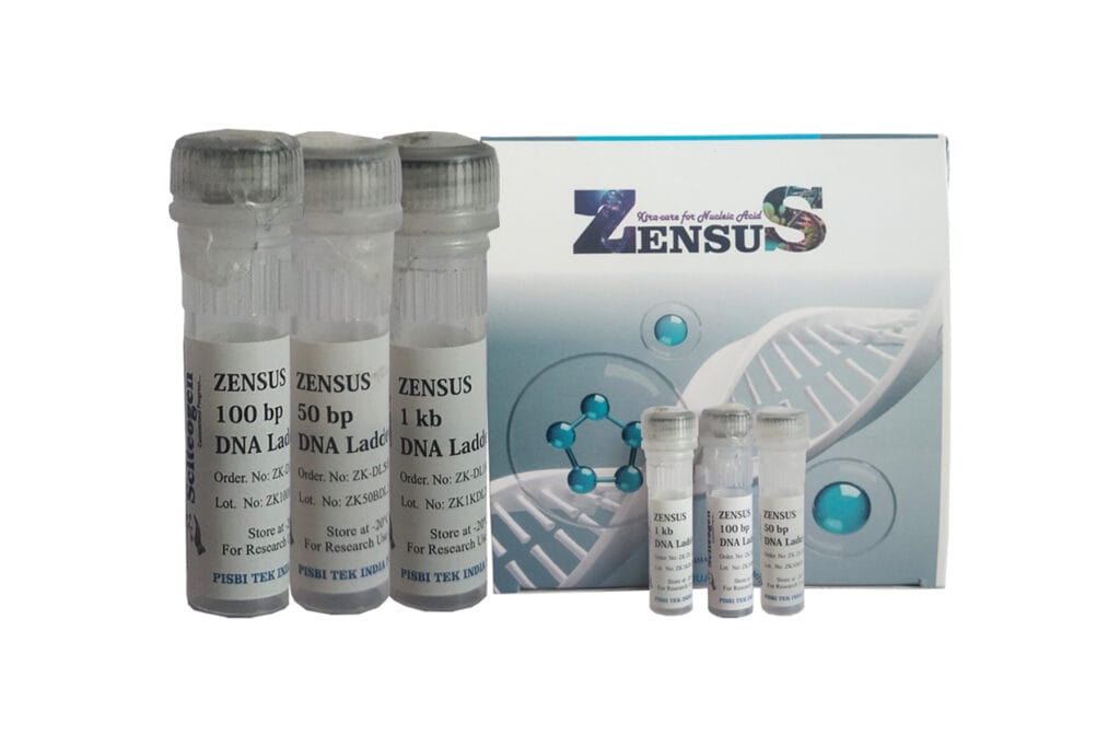 100 bp DNA Ladder (100 to 1500 bp) Pack Of 1