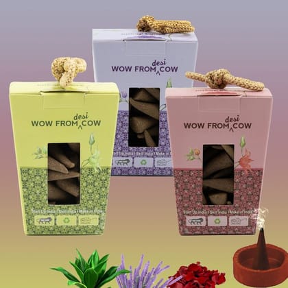 Nandi Panchgavya 100 Percent Cow Dung Kevda, Rose, Lavender Dhoop Cones (150 Pcs)