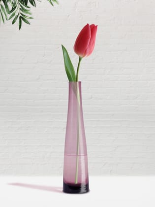 NATURALLYOURS GLASSWARES Elegant VASE - (Height 18.5 CM) NATURALLYOURS GLASSWARES Elegant VASE - (Height 18.5 CM)