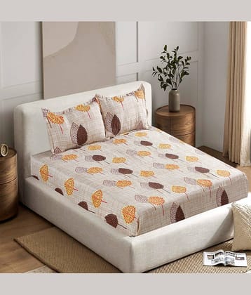 Valtellina Poly Cotton 1 Double Bedsheet with 2 Pillow Covers ( Beige )