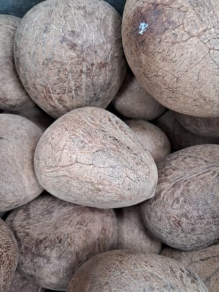 Dry coconut 